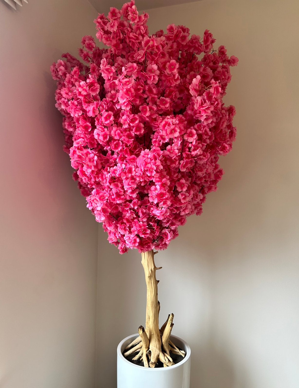 Bloesemboom, Ophalen, Zo goed als nieuw