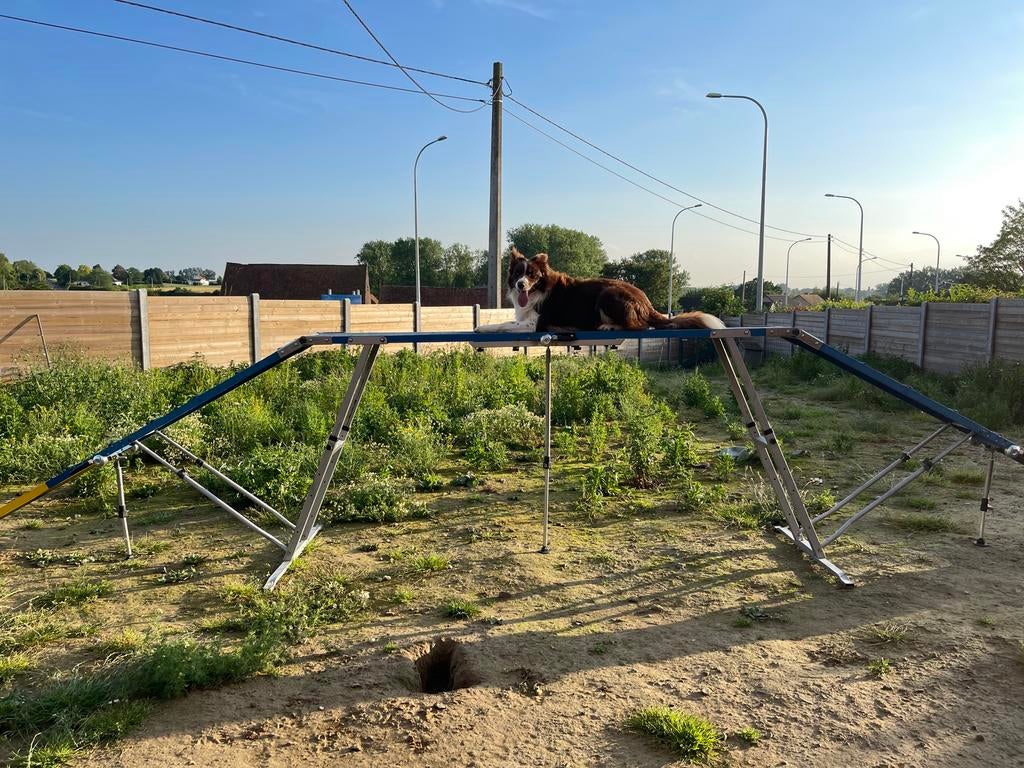 Agility kattenloop (loopbrug) honden, Animaux & Accessoires, Accessoires pour chiens, Enlèvement