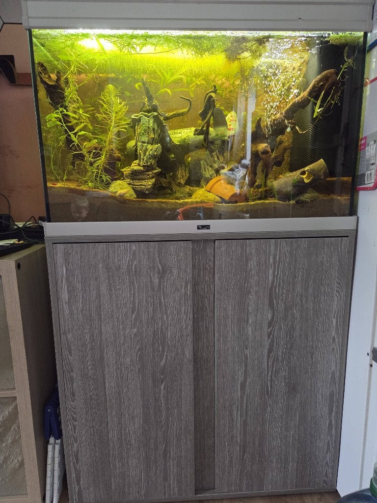 Aquarium complet 140l, Couvercle inclus, Aquatlantis, Aquarium vide, Comme neuf