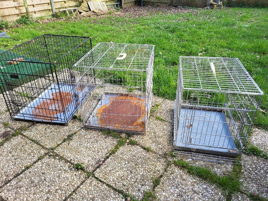 Bench, Dieren en Toebehoren, Ophalen, Gebruikt