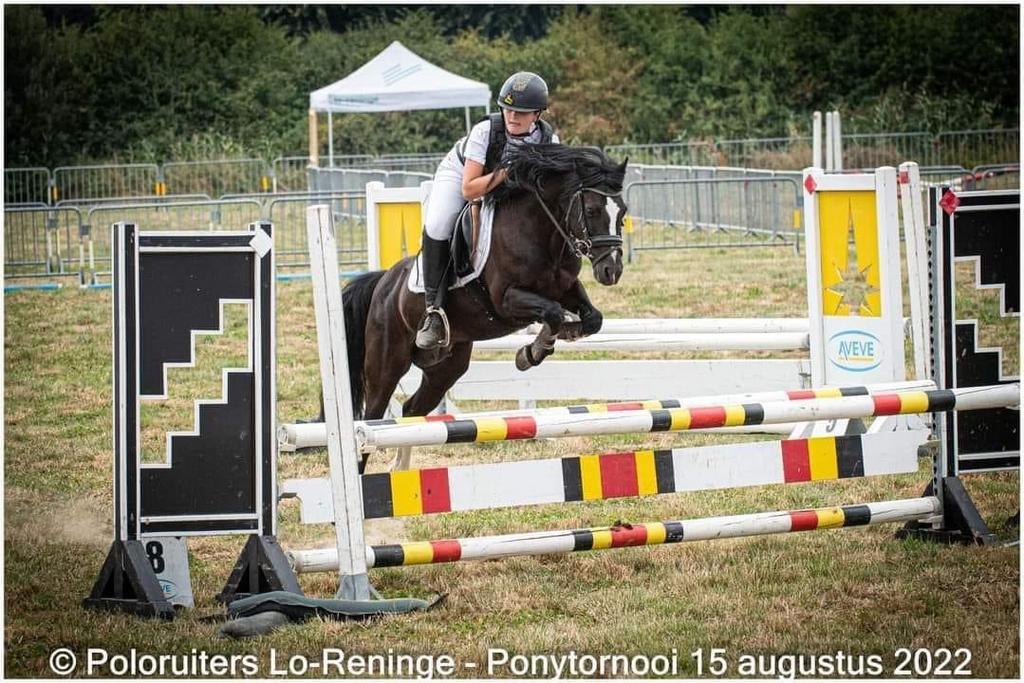 Paardrijlessen voor beginners & kinderen, Juillet, Femelle