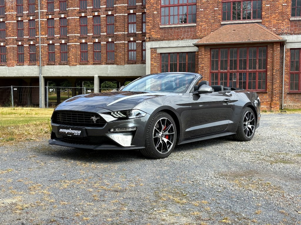 Ford Mustang Cabrio 55y Edition      Pure. Liberté. Passion., Autos, Cuir, Argent ou Gris, Achat, Euro 6