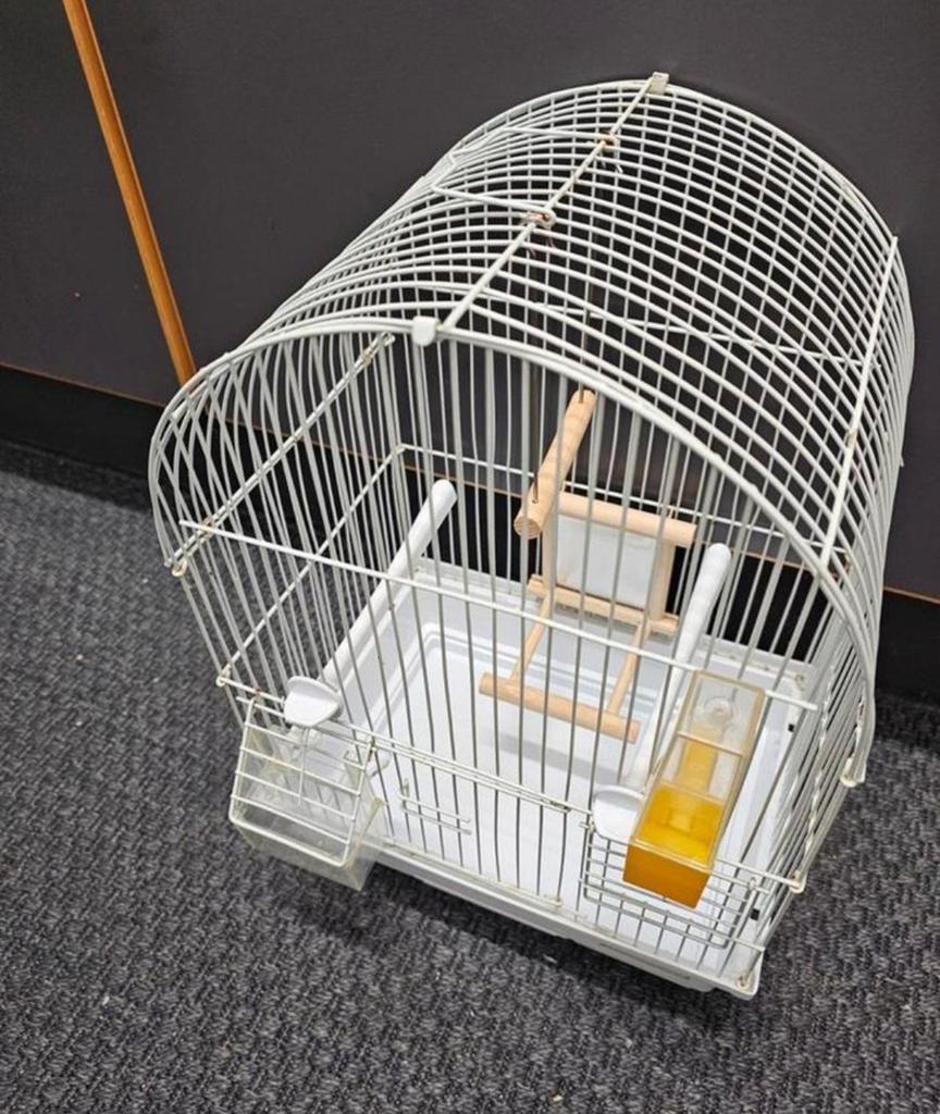 Cage à oiseaux, Enlèvement, Cage à oiseaux