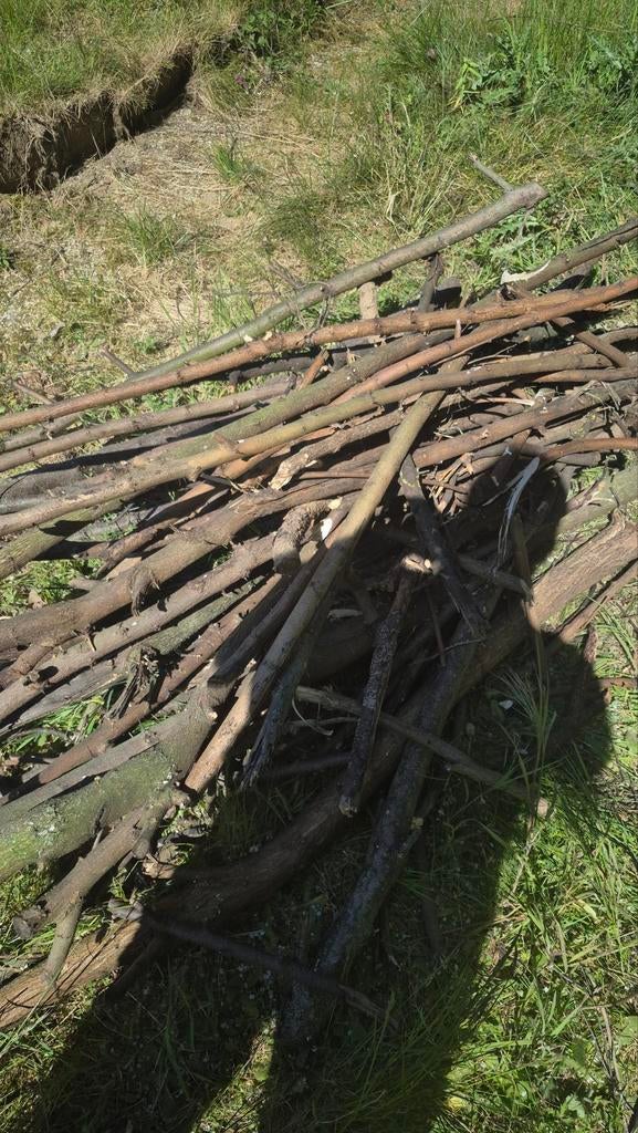 Gratis Droog brandhout, Tuin en Terras, Brandhout, Ophalen
