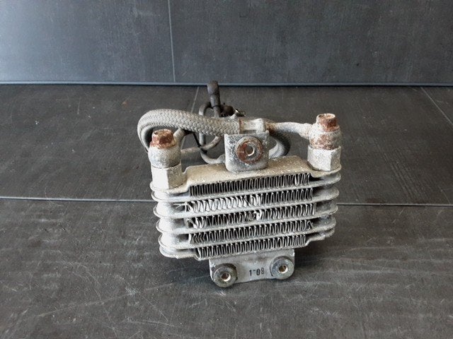 Roadwin 125 2004 - 2011 Daelim Radiator Oliekoeler D1-61789, Motos, Pièces | Autre