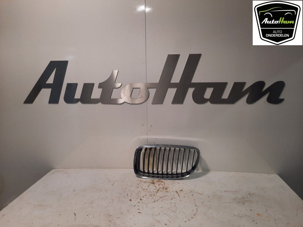 GRILLE BMW 3 serie Touring (E91) (|51137201967|), Dhr. J. Ham, Gebruikt, Administratie@autoham.nl, BMW