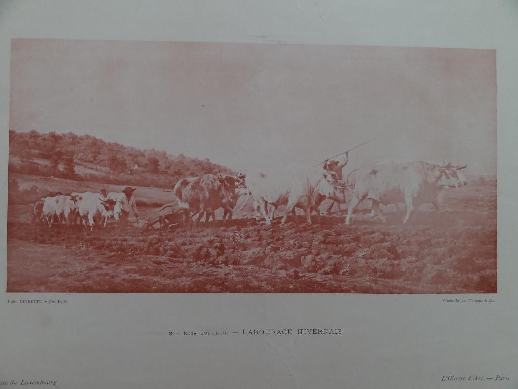 Rosa Bonheur, Le Labourge nivernais, Musée du Luxembourg, Envoi, Paysage, Autres techniques, 1800 - 1899