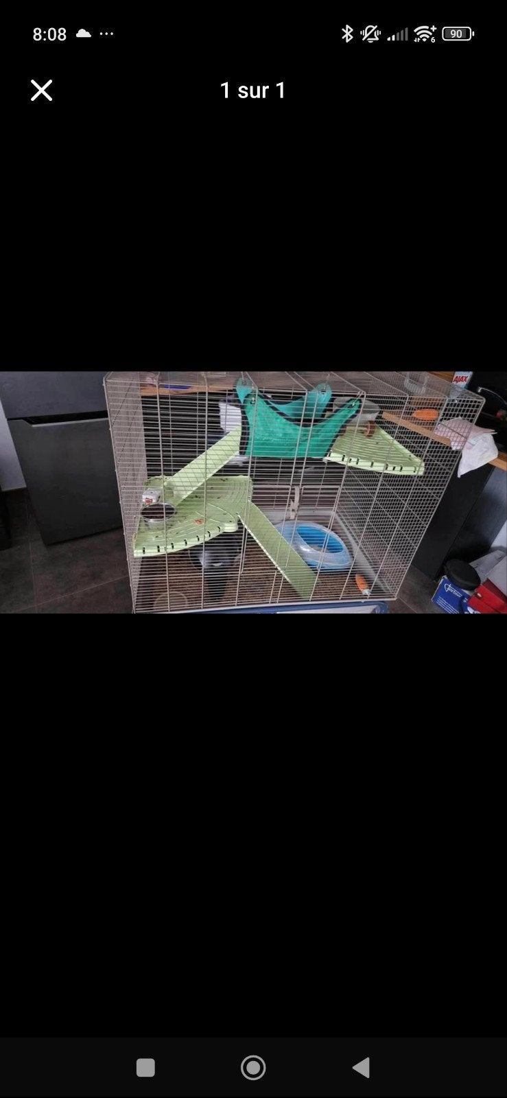 cage, Enlèvement, Utilisé, Chinchilla