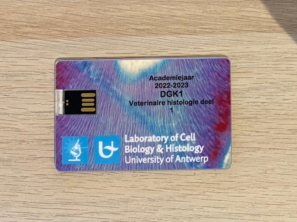Veterinaire Histologie Deel 1 USB, Divers, Envoi, Comme neuf