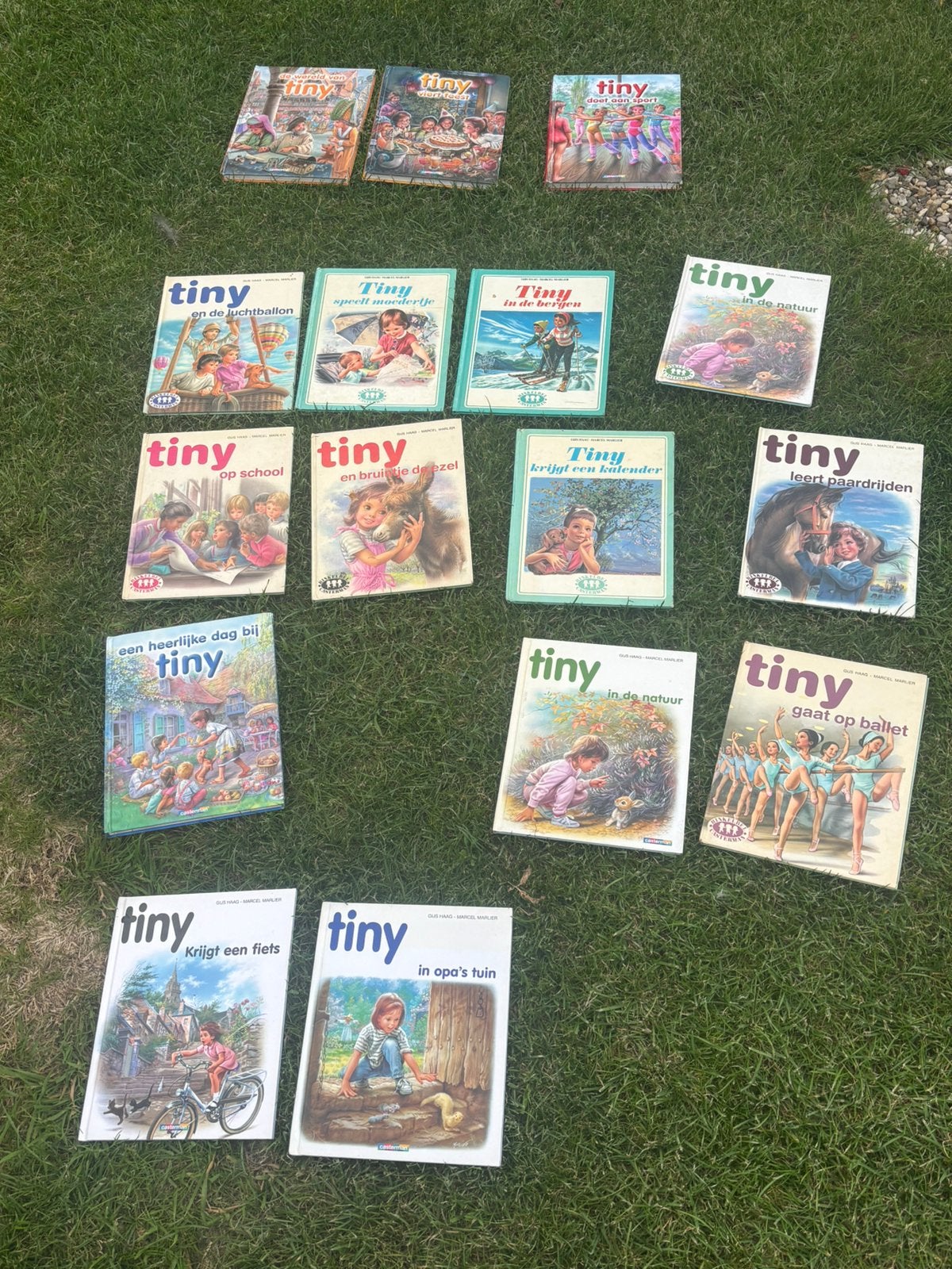 Tiny leesboeken, Ophalen, Gelezen