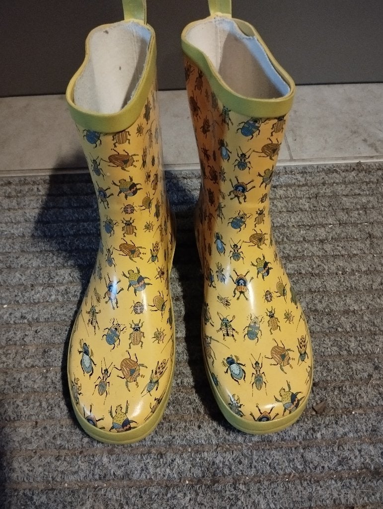 Kinderlaarzen maat 38, Bottes, Enlèvement, Utilisé, Fille