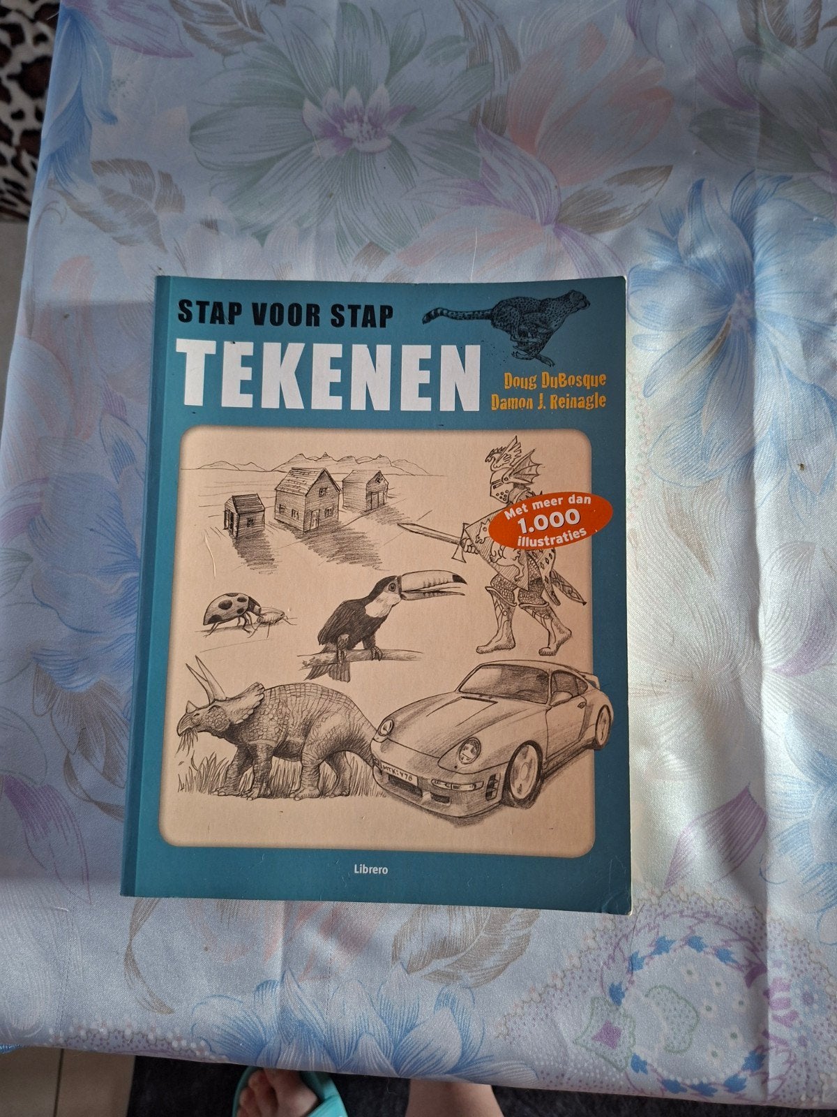 Boek tekenen, Enlèvement