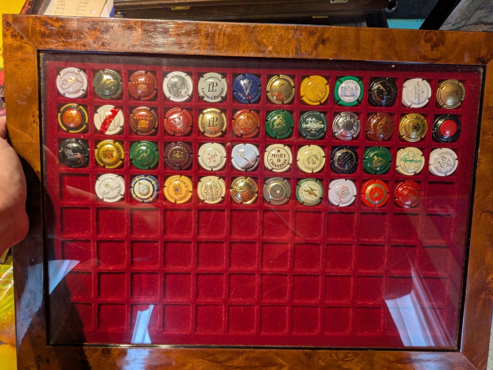 Collection de capsules de champagne avec présentoir en bois, Collections, Enlèvement