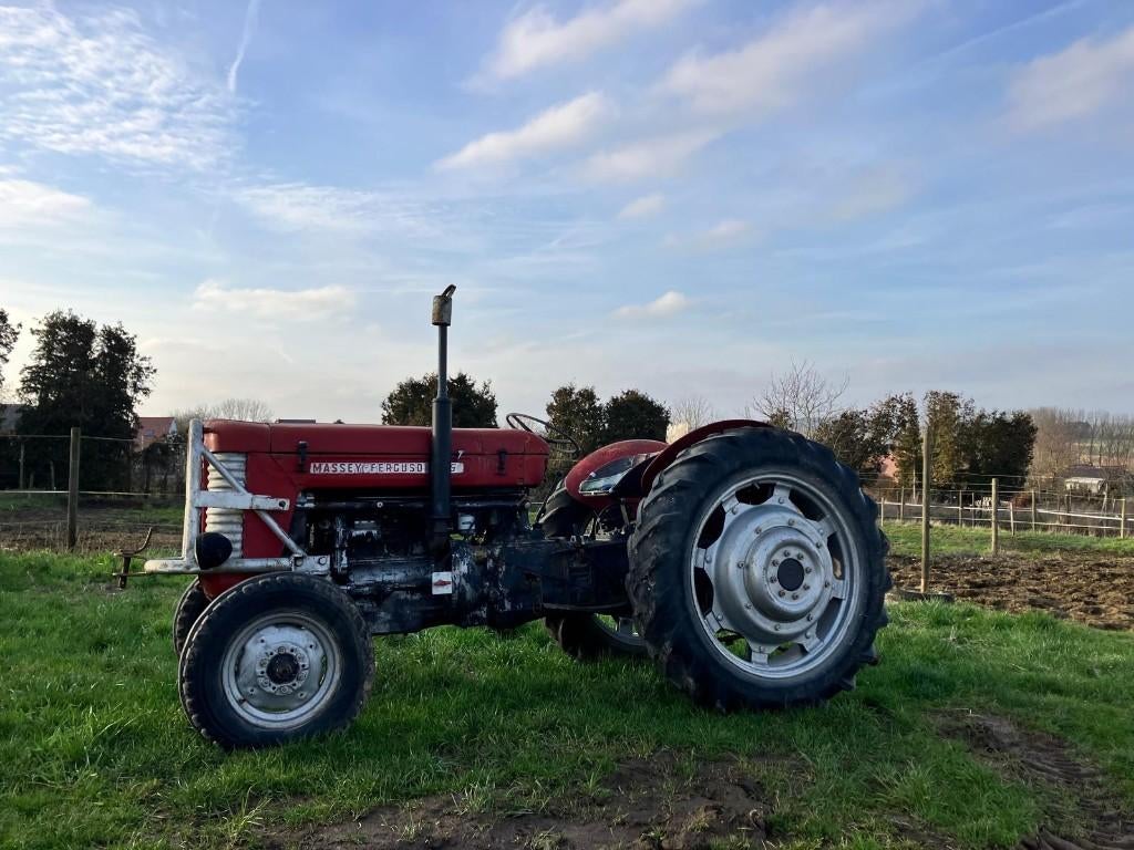Massey- Ferguson 65 / Perfecte staat!!, Zakelijke goederen, Landbouw | Tractoren, Ophalen, Gebruikt, Tot 80 Pk, Massey Ferguson