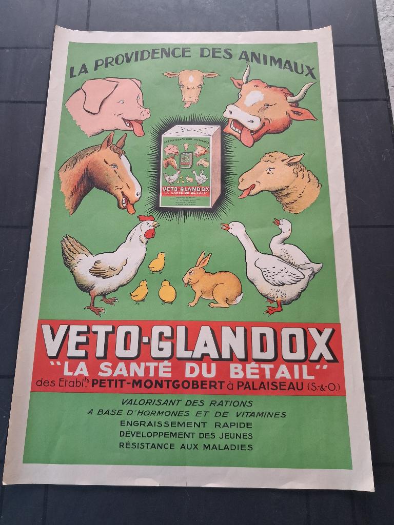 affiche ancienne de VETO GLANDOX., Enlèvement ou Envoi, Comme neuf, Panneau publicitaire