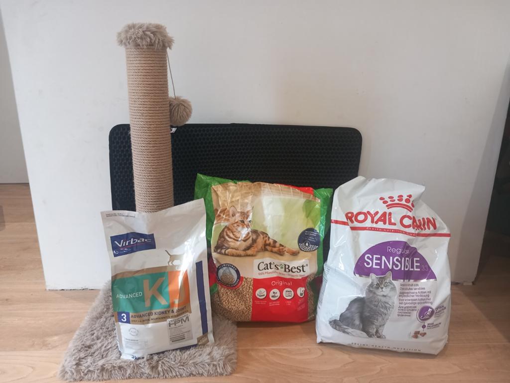 Gratis katteneten en krabpaal, Animaux & Accessoires, Enlèvement, Chat