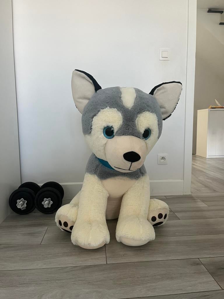 Husky hond 90cm, Grijs, Zo goed als nieuw, Groot (groter dan 80 cm), Hond