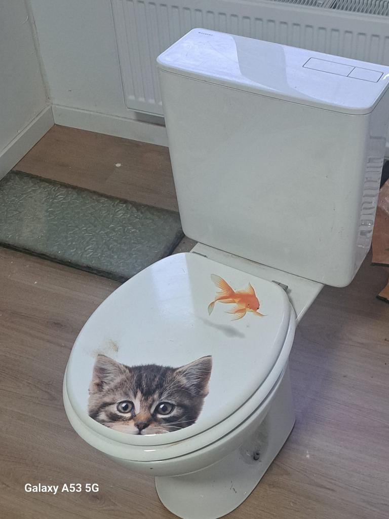 Toilet, Dieren en Toebehoren, Ophalen