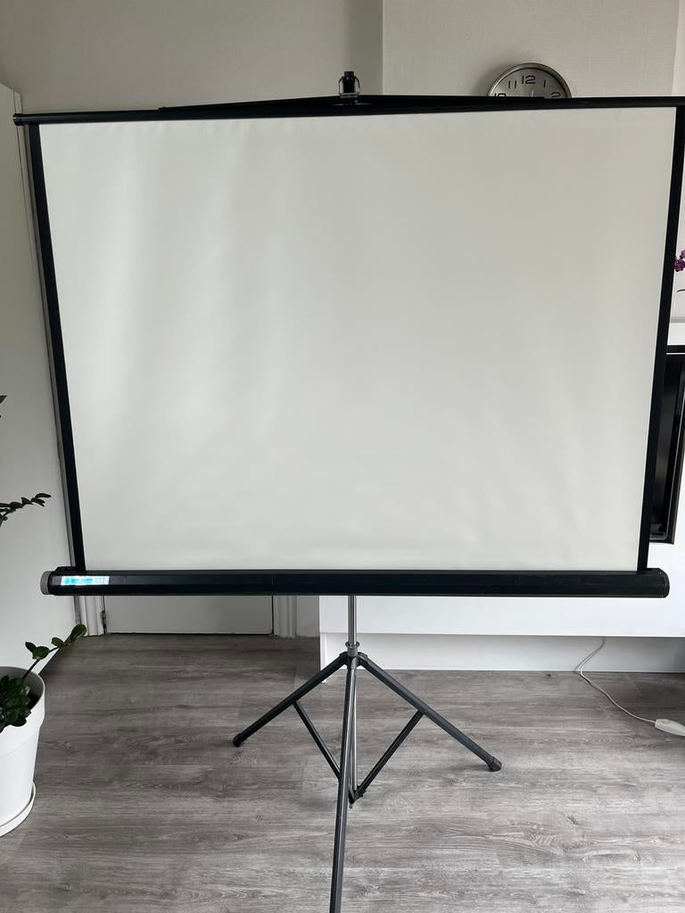 Ecran de projection, Enlèvement, Utilisé