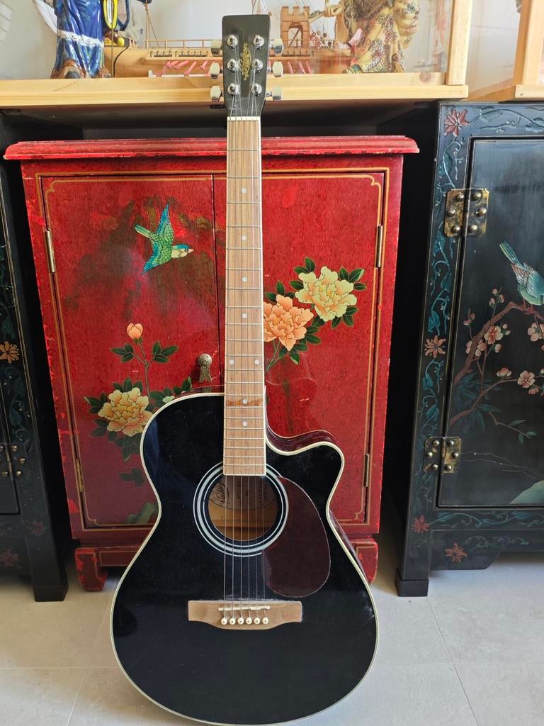 Guitare électro-acoustique Hudson, Musique & Instruments, Enlèvement