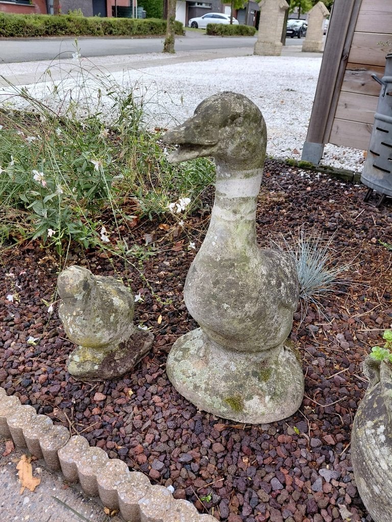 Tuinbeelden, Tuin en Terras, Ophalen