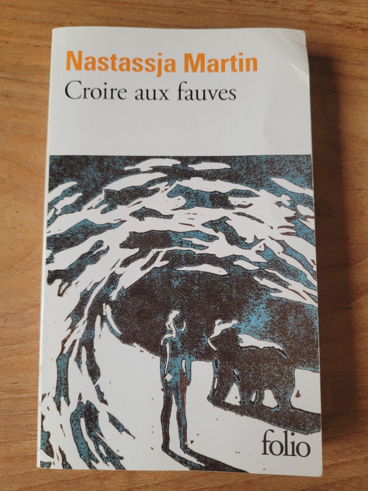 Croire aux fauves - N. Martin, Enlèvement