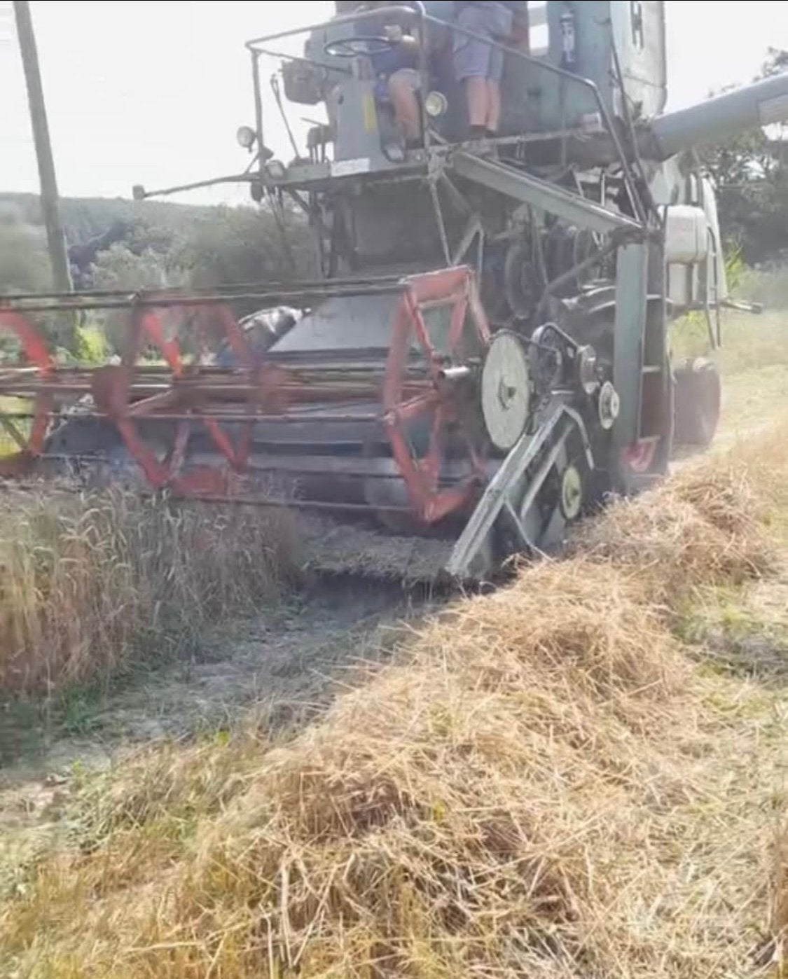 Moissonneuse claas matador gigant, Articles professionnels, Enlèvement, Moissonneuse