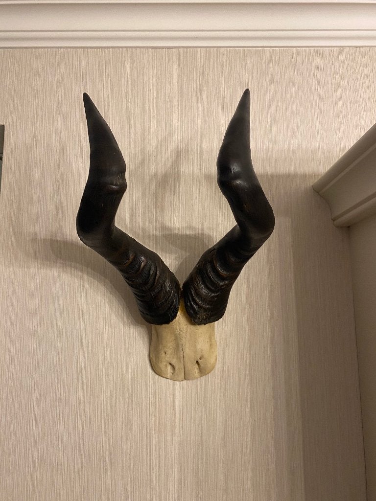 Rode wildebeest, Ophalen, Leer