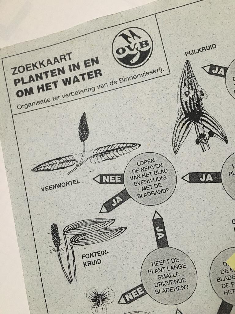 Zoekkaart. Planten in en om het water, Ophalen of Verzenden