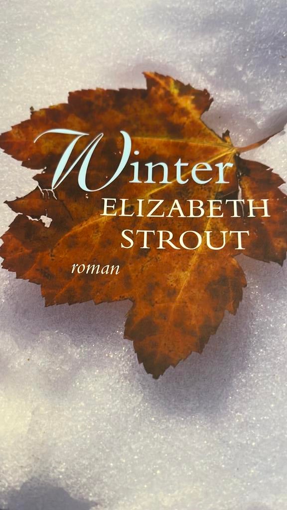 Elizabeth Strout - Winter, Boeken, Ophalen of Verzenden, Elizabeth Strout