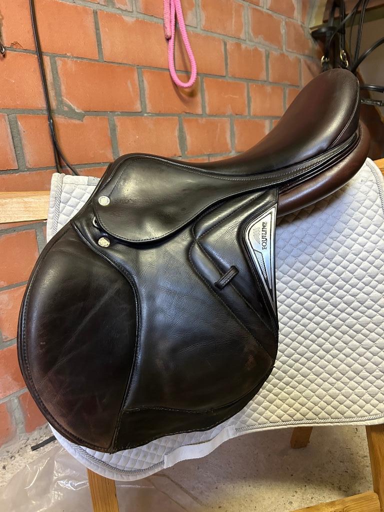 Springzadel Equiline, Ophalen, Springen