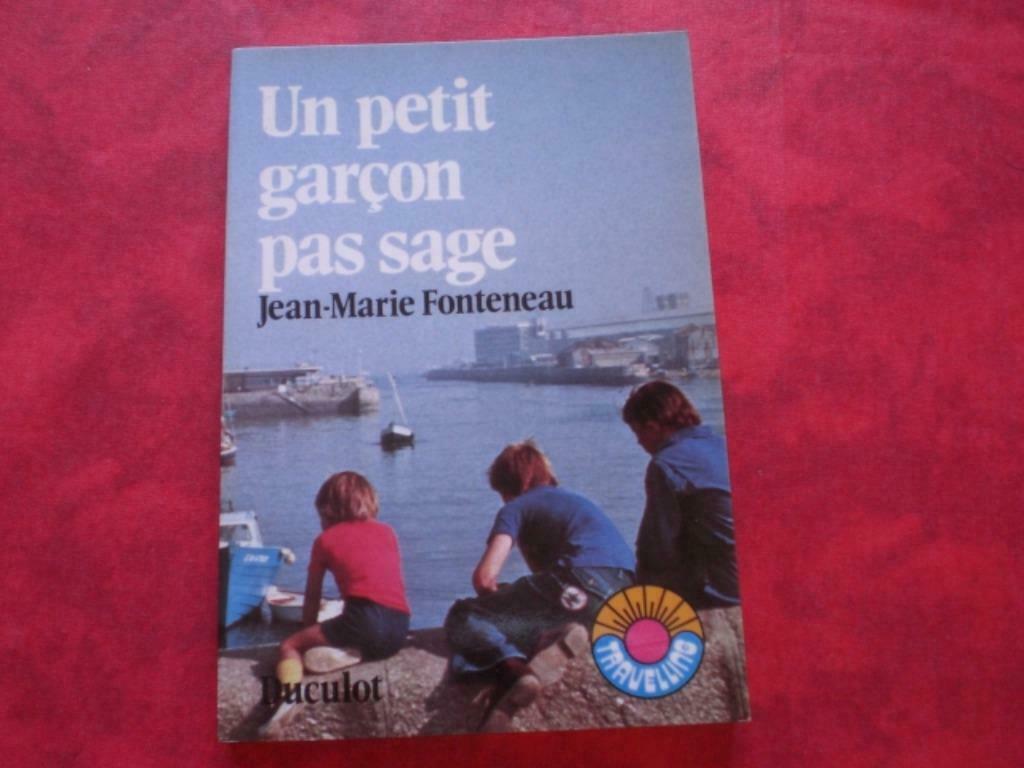 Livre. Un Petit Garçon Pas Sage N 22., Livres, Enlèvement ou Envoi, Utilisé, Garçon