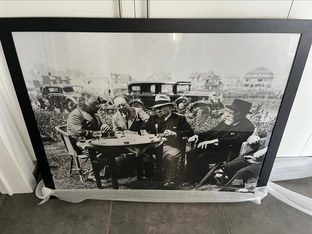 Groot formaat kunstfoto Ensor, Einstein door foto Anthony, Ophalen