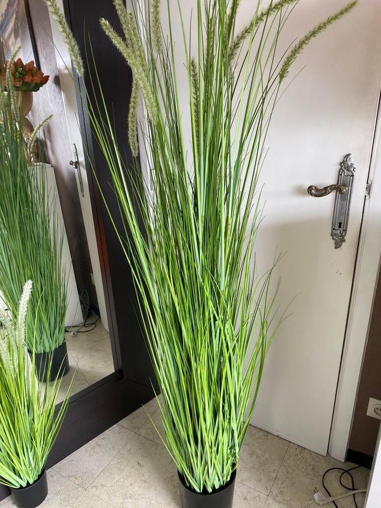 Kunstplant 1M80 groot, Enlèvement, Comme neuf, Plante artificielle, Intérieur
