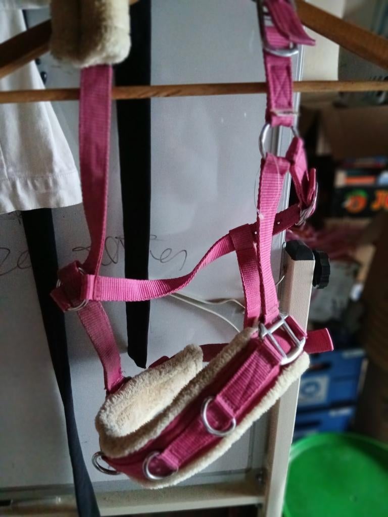 Kaptoom maat cob, Dieren en Toebehoren, Ophalen of Verzenden