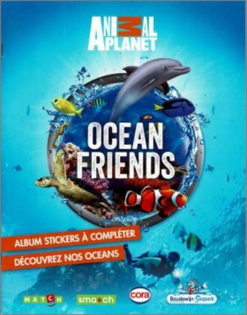 Album Cora Ocean friends - stickers à vendre, Enlèvement ou Envoi, Neuf, Cartes en vrac