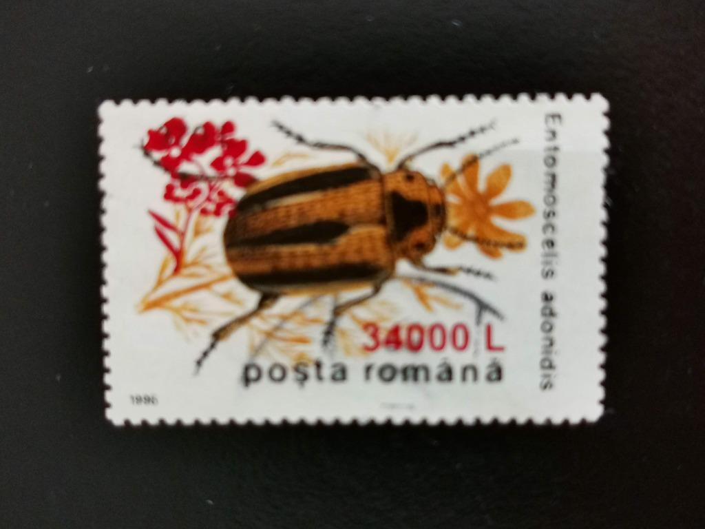 Roumanie 2000 - insectes - coléoptère, Enlèvement ou Envoi, Affranchi