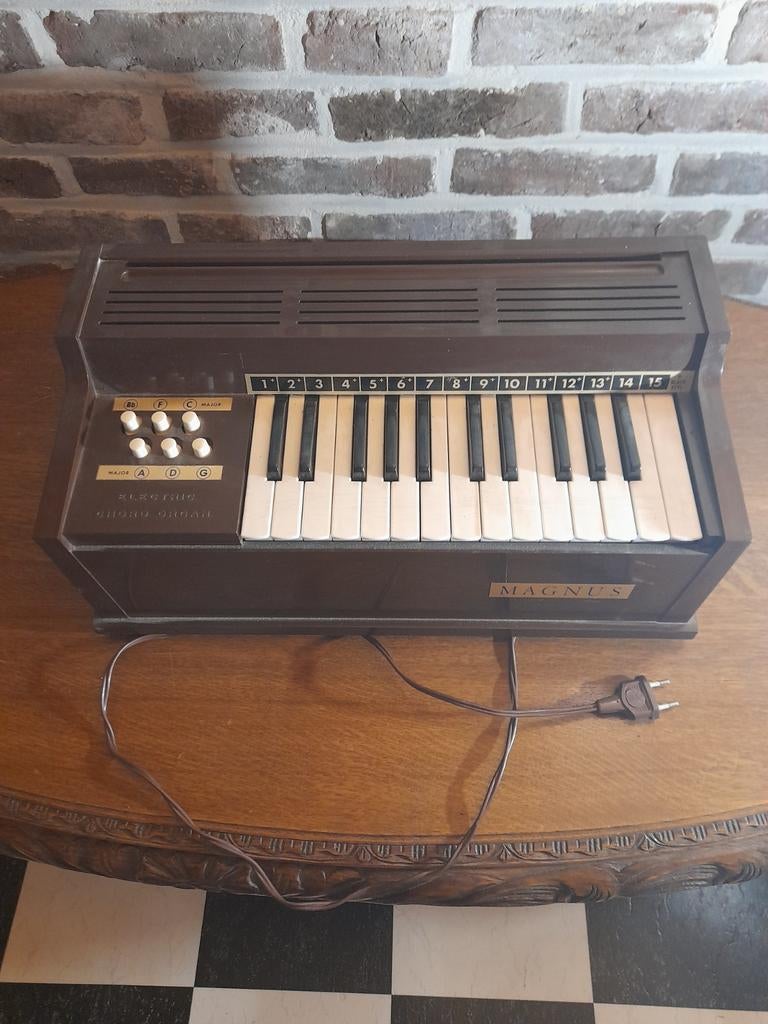 Orgel magnus, Muziek en Instrumenten, Ophalen, Orgel