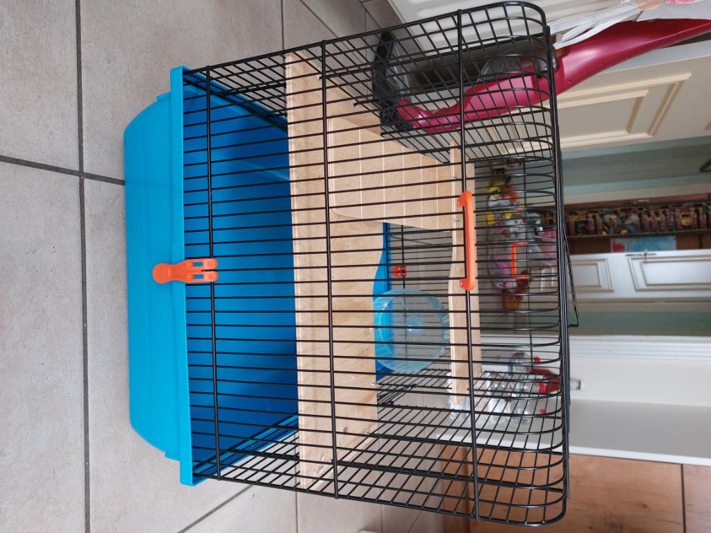 Hamster kooi + toebehoren, Dieren en Toebehoren, Kooi, Minder dan 75 cm, Zo goed als nieuw, Hamster