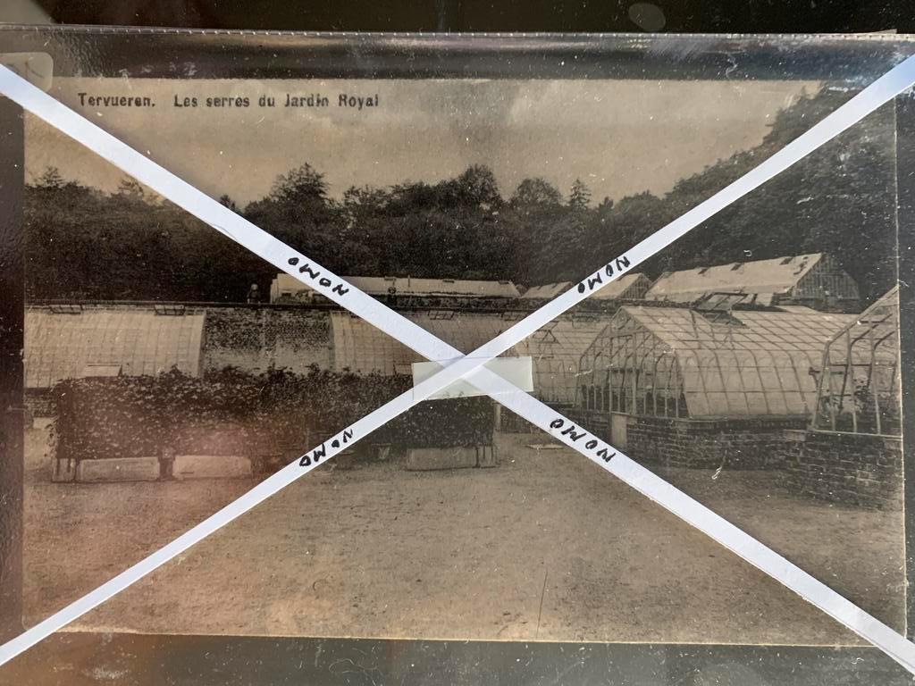 Tervuren 12, sortie du parc, Enlèvement ou Envoi, Non affranchie, Brabant Flamand