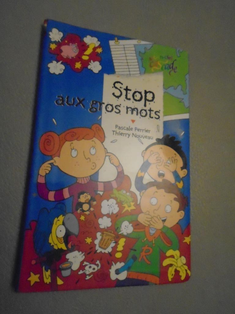 “STOP scheldwoorden”MAGISCH drankje “BRAVOS VOOR THEO”DE 6 J, Gelezen, Non-fictie, Ophalen of Verzenden, PERRIER/BOUILLON