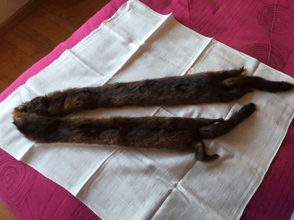Echarpe en fourrure de vison, Enlèvement ou Envoi, Neuf, Écharpe
