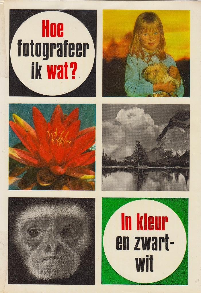 1969 - Fritz MEISNITZER - Hoe fotografeer ik wat?, Gelezen, Fritz MEISNITZER, Verzenden, Fotografie algemeen