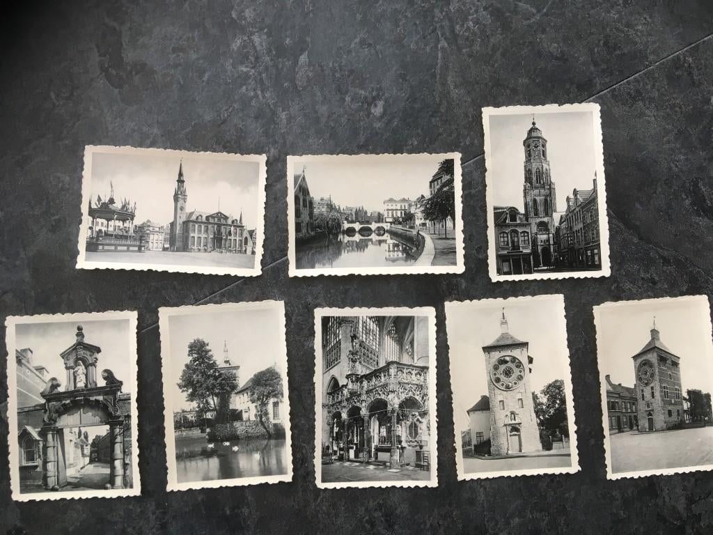 8 petites photos de Lierre, Enlèvement ou Envoi