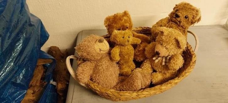 Set teddyberen - oud en eigentijds, Verzamelen, Ophalen of Verzenden, Zo goed als nieuw, Overige typen, Overige merken