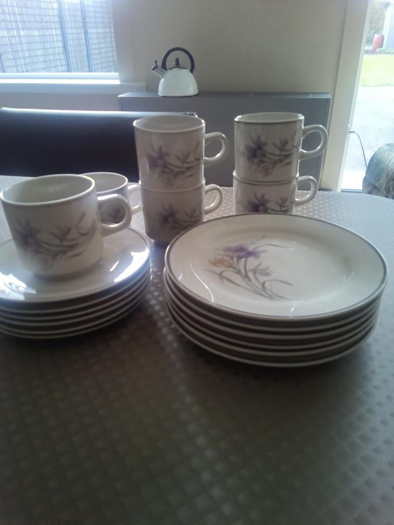 6 Koffietassen ,schoteltjes en  dessertborden, Overige materialen, Nieuw, Ophalen of Verzenden, Overige stijlen