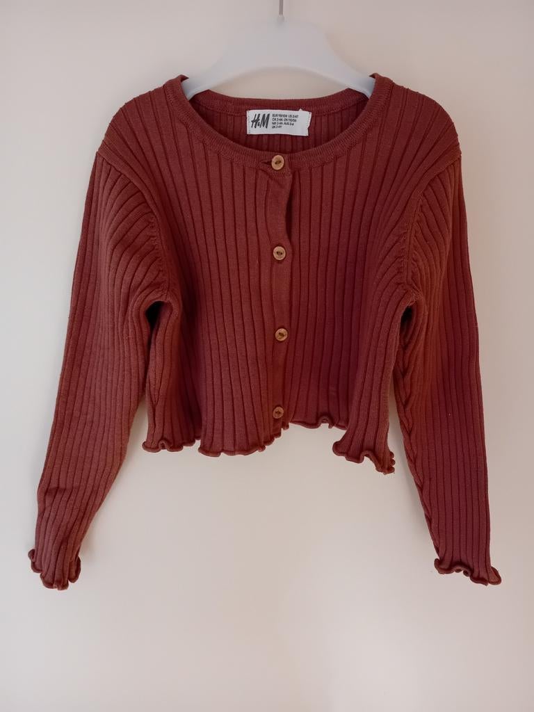 Korte gilet, Kinderen en Baby's, Kinderkleding | Maat 98, Meisje, Trui of Vest, H&M, Ophalen of Verzenden
