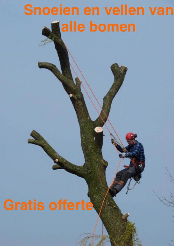 snoeien en rooien van bomen en terreinen, Tuin en Terras, Ophalen of Verzenden