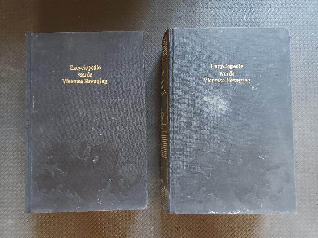 Encyclopedie van de Vlaamse Beweging, Ophalen of Verzenden, Gelezen