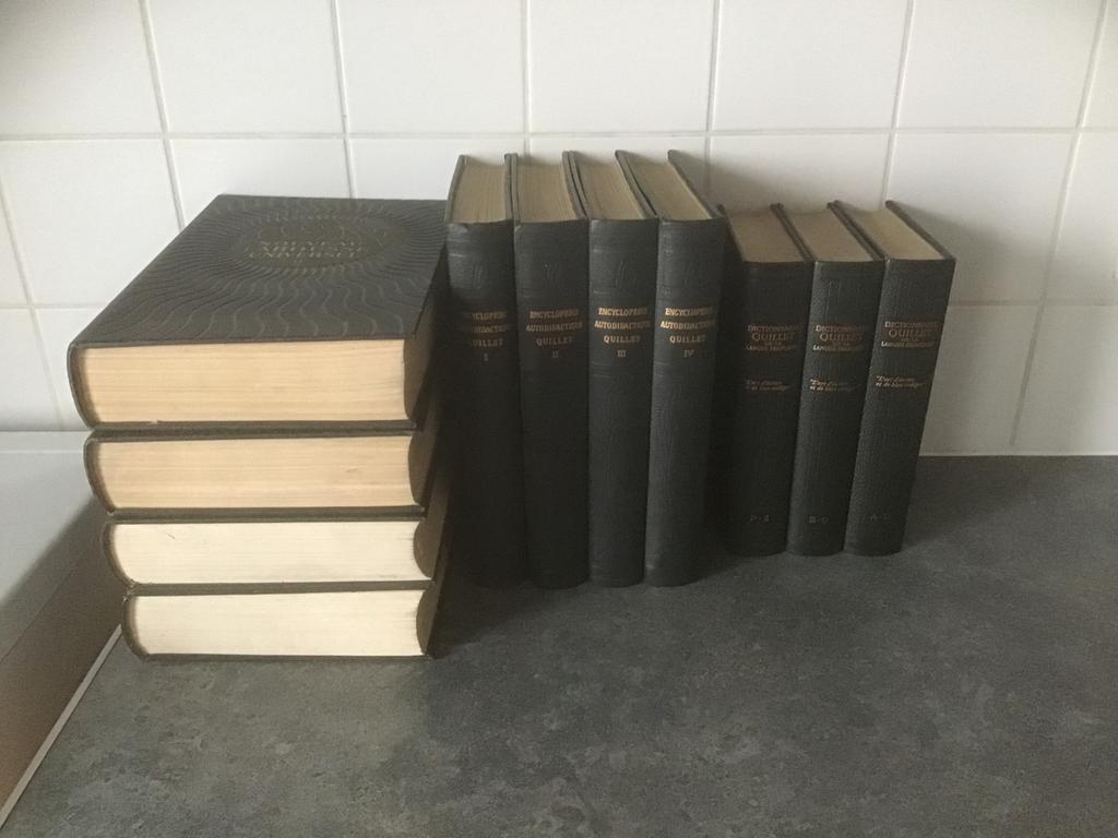 Lot 11 Encyclopédies & Dictionnaires, Enlèvement, Comme neuf